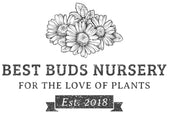 Best Buds Nursery
